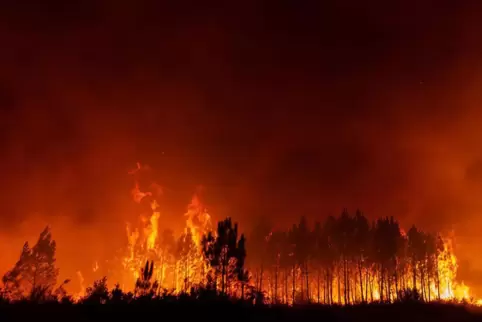 Schon rund 50.000 Hektar Wald wurden in diesem Jahr Opfer der Flammen. Dieses von der Feuerwehr der Region Gironde zur Verfügung