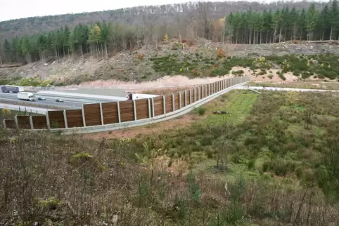 Eine Wild- oder Grünbrücke über die B10 bei Hinterweidenthal. 