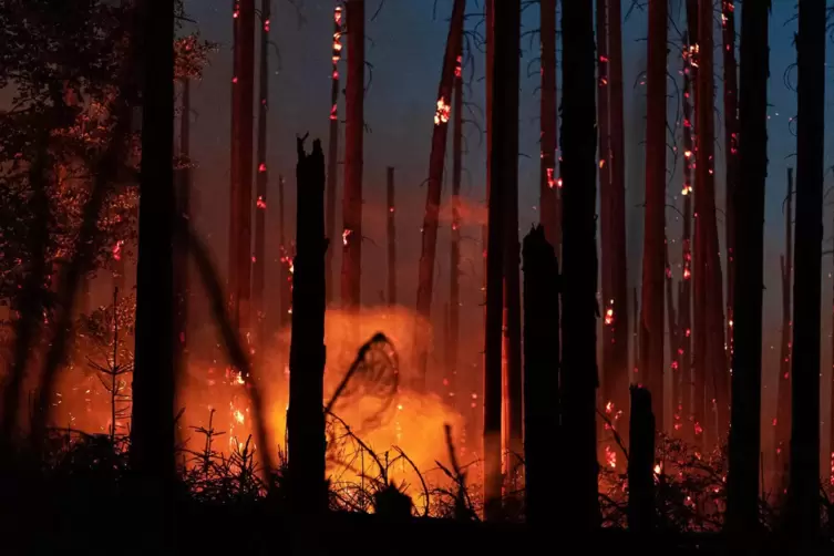 Waldbrände sind gerade im aktuellen Hitzesommer eine ständig drohende Gefahr. 