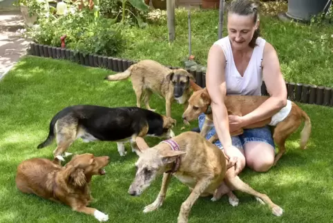  Tierische Rasselbande: Brea (von links im Uhrzeigersinn), Romeo, Pauli, Yuca und Clemen halten Hundemami Sylke Vietz ganz schön