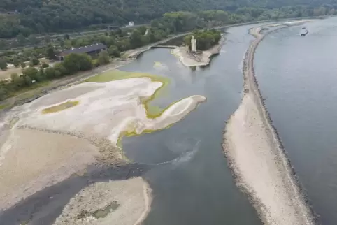 Niedrigwasser im Rhein bei Bingen. 