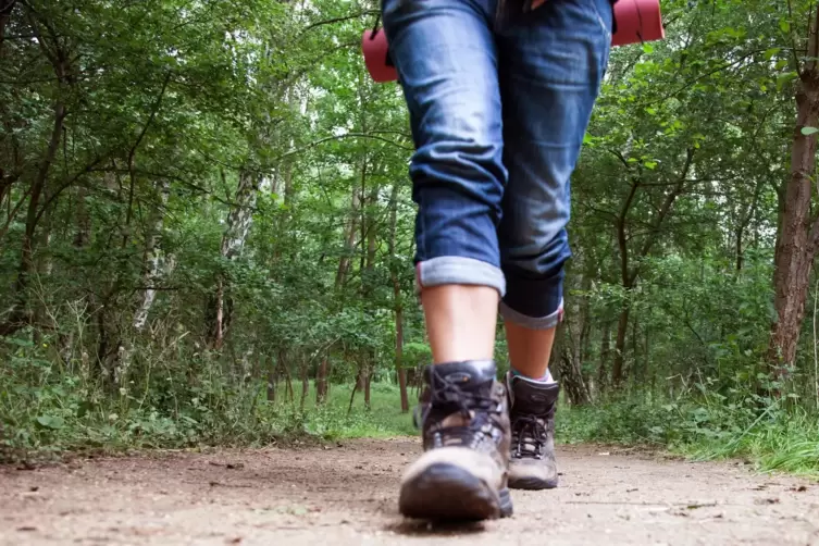 Das Organisieren von Wanderungen ist dem Wanderreferenten zuletzt durch verschiedene Faktoren erschwert worden.