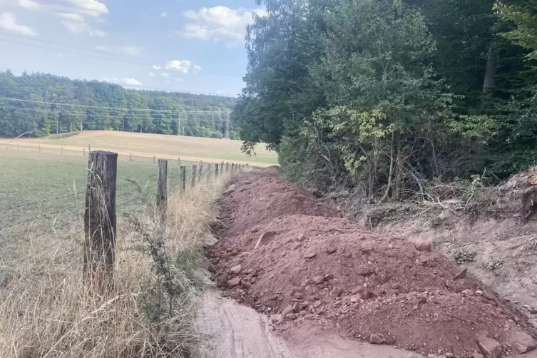 Der Waldweg zwischen dem Lanzenbrunnen und der Grillhütte auf dem Drehenthalerhof ist wegen Erdablagerungen nicht zu benutzen. 