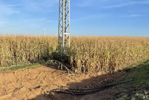 Unser Bild zeigt die Stelle östlich der B 427, an der die Übergabestation errichtet werden soll. Doch hier gibt es noch Probleme