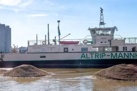 Bild aus dem Sommer: Die Rheinfähre zwischen Altrip und Mannheim steht still. Die Fahrrinne sollte ausgebaggert werden, doch es 