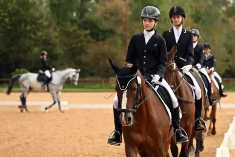 Prüfungsgruppe beim Reiter-Wettbewerb Schritt-Trab-Galopp.