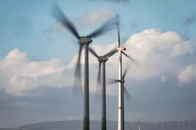 Windkraft versus alter Baumbestand? Diese Frage wurde im Schneckenhausener Rat kontrovers diskutiert. 