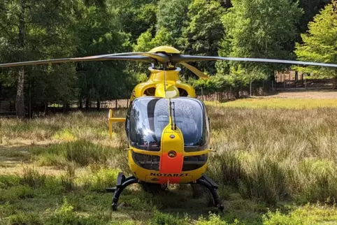 Die 76-Jährige wurde mit einem Rettungshubschrauber ins Krankenhaus geflogen. 