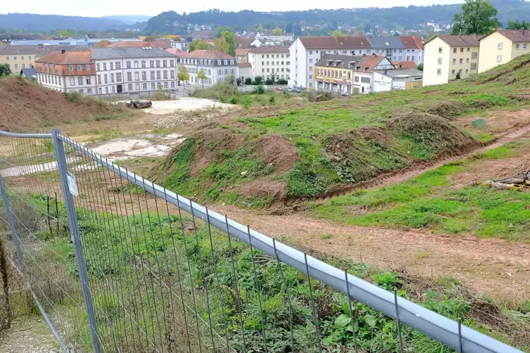 Nichts außer zugewachsenen Erdhügeln: das frühere Parkbrauerei-Gelände.