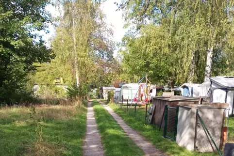 Rund 800 verpachtete Plätze gibt es im Gebiet „Auf der Au“ zwischen Waldsee und Altrip, um die 1000 sollen es werden.