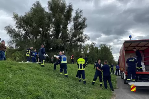 Sandsack-Kette auf dem Deich bei der Hochwasser-Übung in der VG Rheinauen.