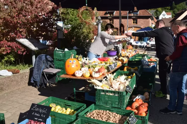 Jubiläumswetter beim Jubiläumsmarkt: Zum 20. Mal gaben sich Bauern und Handwerker ein Stelldichein beim Michaelismarkt