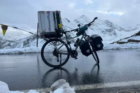 Die Alpen waren für Oggie eine echte Herausforderung.