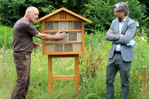 Die Kimmle-Stiftung betreibt auf dem Riegelbrunnerhof einen Wild- und Honigbienen-Lehrgarten, hier zeigt Andreas Wagner vom Bien