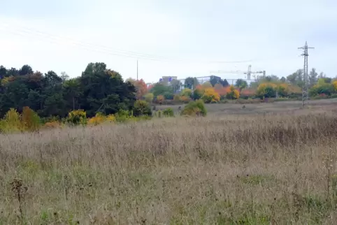 Die Truppacher Höhe: In Sichtweite des Outlets und des Tadano-Standorts am Flugplatz liegt das geplante Gewerbegebiet.