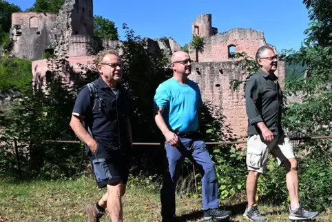 Wanderfreunde: (von links) Ulrich Mell, Michael Schumacher und Uwe Keller vor der Hardenburg. 