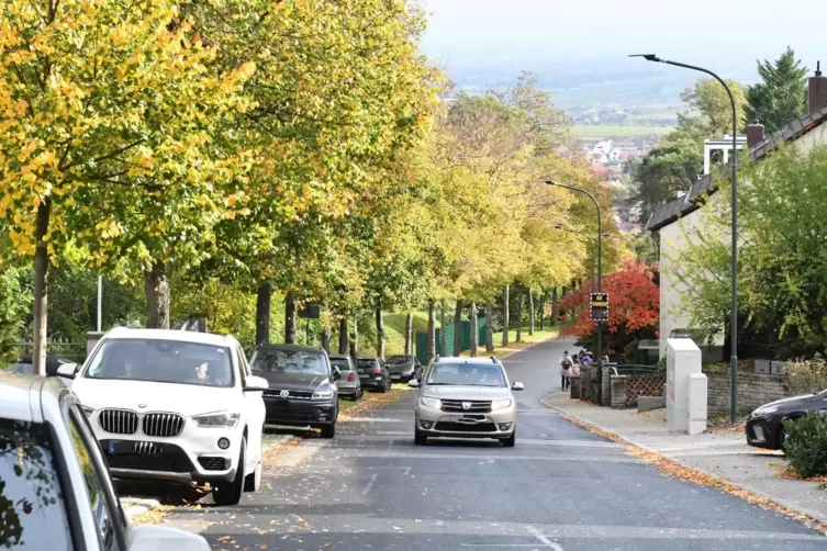 Die Karl-Räder-Allee ist eine der prägenden Straßen in Seebach. 