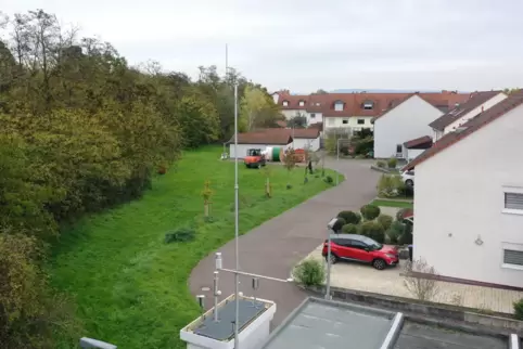 Bleibt jetzt von Baumaterialien „verschont“: Grünfläche im Meisenweg. 