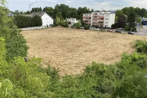 Soll 84 Wohneinheiten aufnehmen: Brachfläche an der Waldstraße.