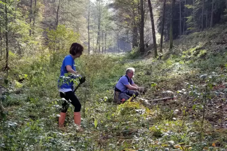 Mäharbeiten im Silbertal.