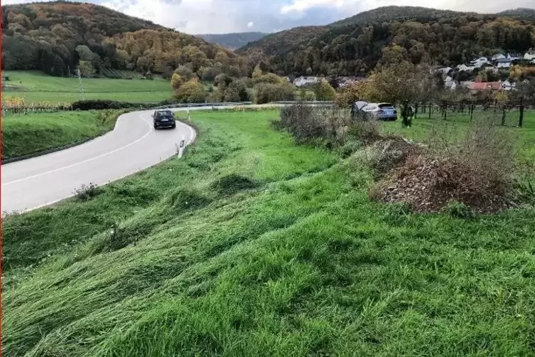 Die Fahrt endete in einer Wiese. 