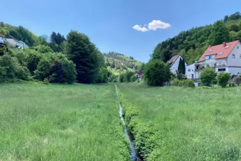 Diese Wiese am Eingang zum Gersbachtal könnte viel Wasser im Falle eines Starkregens aufnehmen. Ein Wall zum Ort hin wäre noch n