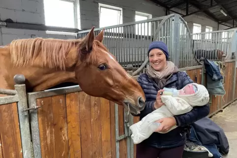 Der kleine Malo wächst im Stall von Melanie Bischoff wie selbstverständlich mit Pferden auf. 