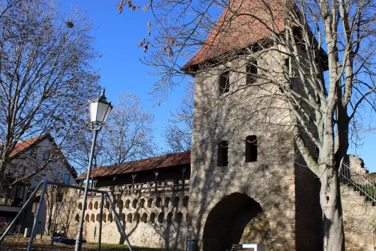 Gladiatoren und Wein: Alzey feiert Stadtgeburtstag römisch - Alzey - DIE RHEINPFALZ