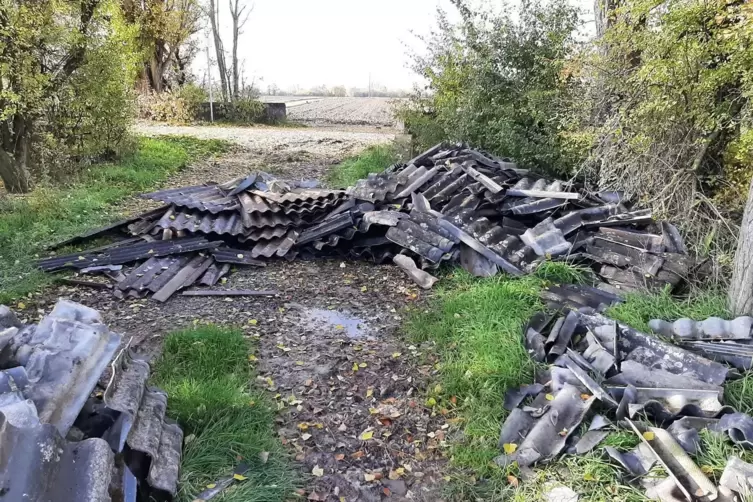 Diese asbesthaltigen Dachplatten sind Sondermüll und müssen entsprechend entsorgt werden. 