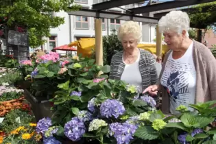 Einen Frühlingsmarkt wie hier 2018 wird es im kommenden Jahr in Schifferstadt nicht geben.