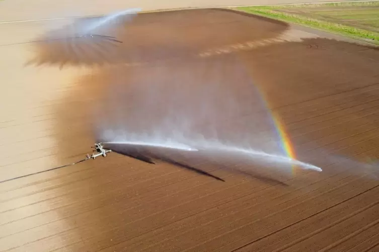 Die Landwirtschaft gehört zu den größen Wasserverbrauchern.