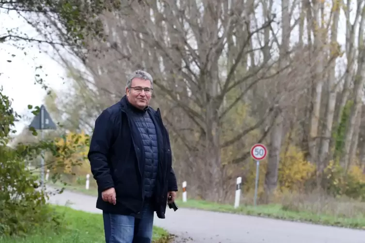 Gefahr für die dort verlaufenden Stromleitungen: die Pappeln an der Nato-Straße. Deshalb befürwortet auch Römerbergs Ortsbürgerm