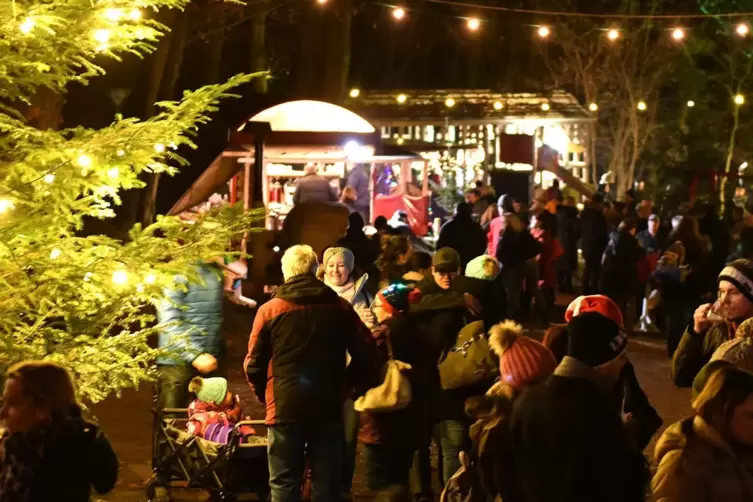 Romantische Waldweihnacht Ohne Programm Weisenheim Am Sand Die Rheinpfalz 5603