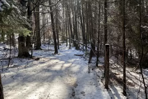 Eine dünne Schneedecke könnte in den nächsten Tagen die Wege bedecken.