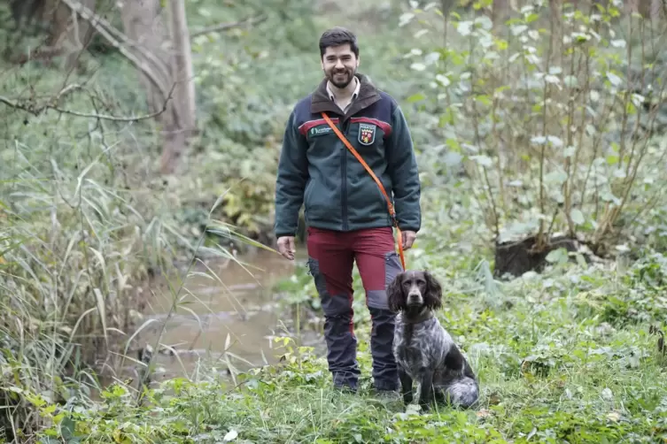  Paul Jonathan Mohr und sein Deutscher Wachtelhund Hagen sind nicht nur beruflich oft im Wald unterwegs.