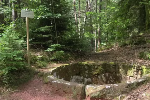 Bei Wilgartswiesen: Die wohl am besten erhaltene Wolfsgrube im Pfälzerwald.