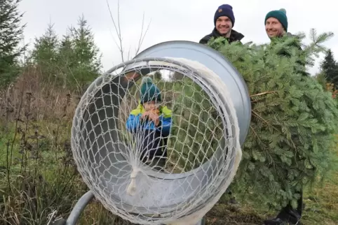 Sascha Klein (Bildmitte) zusammen mit Lars Schäfer und Sohn Rico beim Einnetzen des Baumes. 