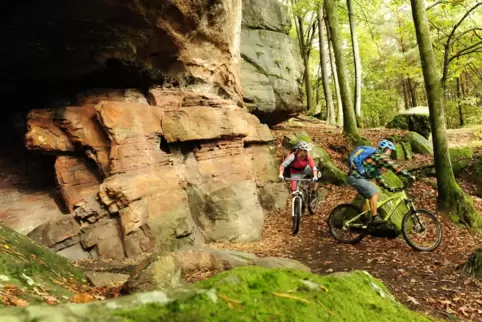 Mit dem Mountainbike-Park Pfälzerwald wird international geworben. 