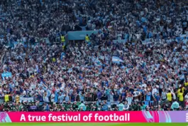 Die Identifikation von Fans und Land mit dem Nationalteam als wichtiger Erfolgsfaktor: argentinische Anhänger in Katar. 