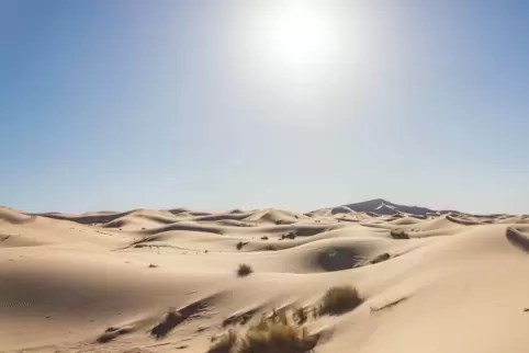 Aus der Sandwüste (Foto) soll mit modernster Bewässerungstechnik und Meerwasserentsalzung eine blühende Landschaft werden, die C