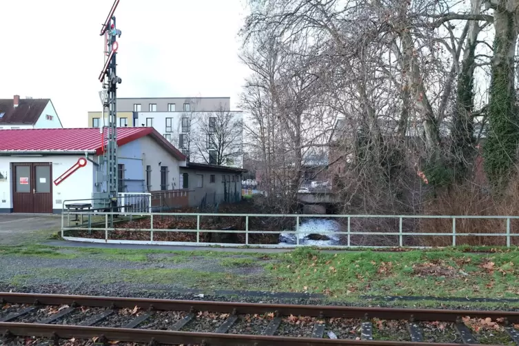 Die geplante Brücke folgt dem Verlauf der Queich und überquert Maximilianstraße und Bahngleise. 