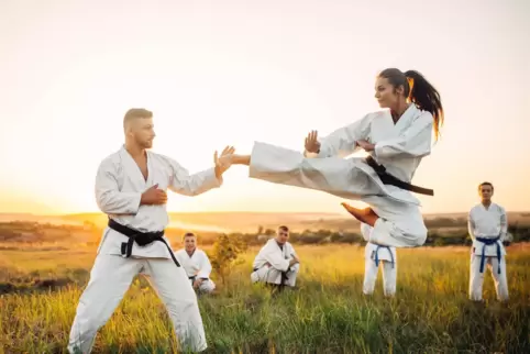 Pure Ästhetik beim Karate.