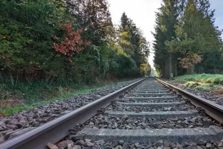 Ab 14.30 Uhr fuhr auf der Strecke Kaiserslautern-Lauterecken kein Zug mehr. 