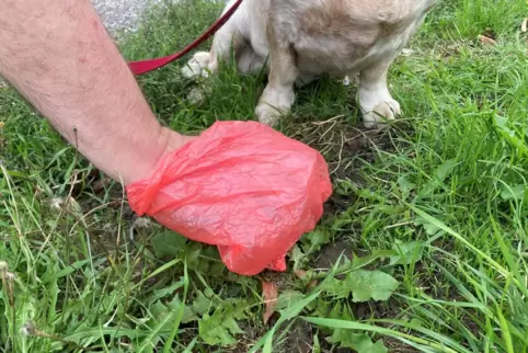 Pirmasens hat den Kampf gegen Hundekot aufgenommen, mit mäßigem Erfolg. 