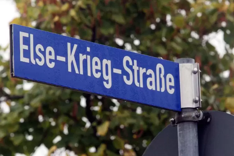 Else-Krieg-Straße: Auch hier waren Einbrecher unterwegs.