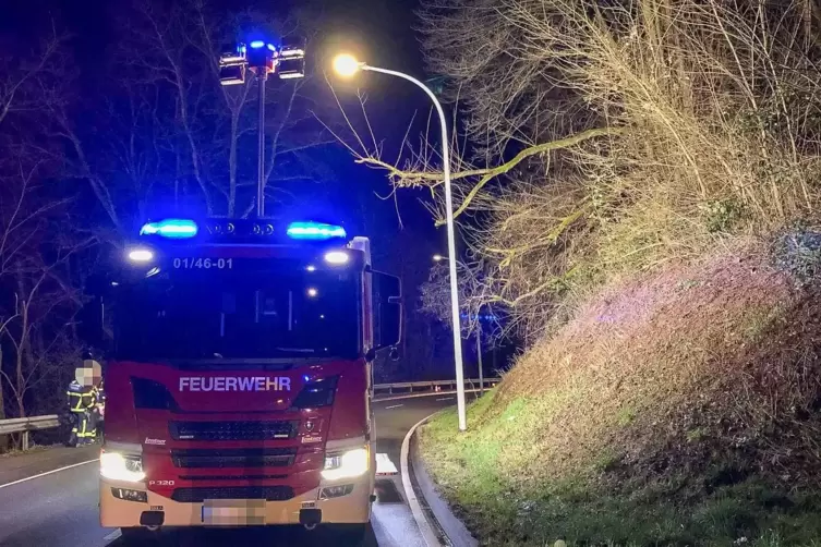 Rückt die Feuerwehr zu Einsätzen mit privatem Charakter aus, etwa die Rettung von Katzen in Bäumen, dann kostet das künftig Geld