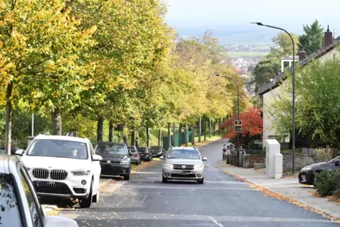 Heißt die Karl-Räder-Allee künftig Lindenallee?