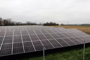 Etwa 3700 Module sollen soviel Strom einspeisen, dass umgerechnet 420 Haushalte versorgt werden können. Dazu muss der Solarpark