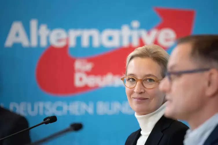 Alice Weidel und Tino Chrupalla stehen an der Spitze der AfD.