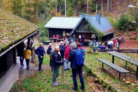 Im Herbst: Speyerer wandern durch den bunten Pfälzerwald.